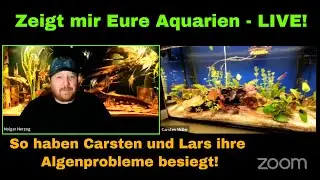 Zeigt mir eure Aquarien - LIVE! - Algenprobleme gel&ouml;st!