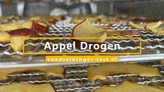 Appel Drogen | Gedroogde appel in de voedseldroger