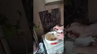 Kolac sa kremom 