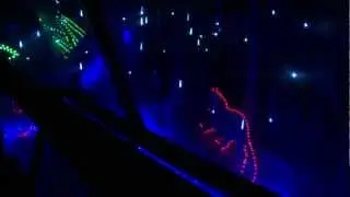 CityStream Splashback: Zoo Lights