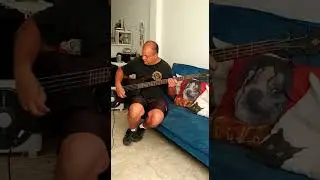 Spector Performer DELUXE 4 Matte Black by juan manuel romero