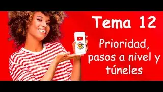 LUNES 12 DE AGOSTO, MAÑANA, TEMA 12: PRIORIDAD, PASOS A NIVEL Y TÚNELES