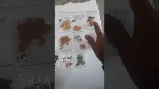 buy hybrid vegetable seeds|Creative nursery|9053656687