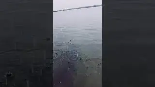 महानदी  ।  Mahandi River  |  Indian Geography  |   Origin and Mouth of Mahanadi River