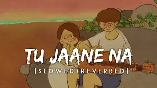 Tu Jaane Na(Slowed & Reverbed)-Atif Aslam | SpiritnNotes