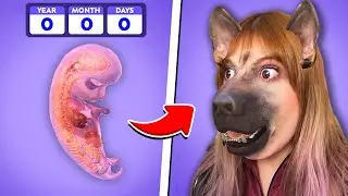 ESSE SIMULADOR DE CACHORRO É MUITO REALISTA - doglife simulator