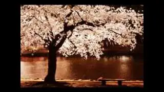 DREAMS OF HARMONY