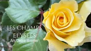 Les Champs Elysees practice #choirpractice #song #nabucco #opera #JetseBremer #LesChampsElysees