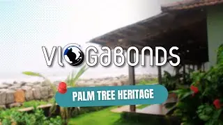 The Hidden Gem of Varkala - Palm Tree Heritage Resort