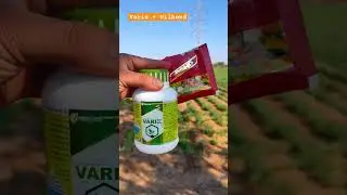 #willowood #bond #varix #wilbond #brand #pgr #fungicides #best