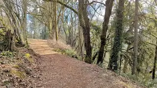 Ewing Young Park &ndash; Clear Winter Afternoon Sun | Quiet Solo Walk
