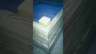 A dog watches the manufacture of a gravel crate (Собака наблюдает за изготовлением ящика для гравия)