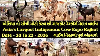 એશીયા નો સૌથી મોટો કેટલ શો રાજકોટ રેસ્કોર્સ મેદાન / Asia's Largest Indigenous cattle show rajkot 