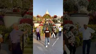 World&rsquo;s Largest Beautiful Flowers 🌺 Miracle Garden 2025 #miraclegarden #trending #shorts