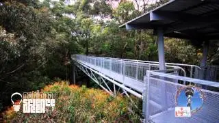Science Week at Illawarra Fly Treetop Walk