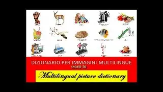 MULTILINGUAL PICTURE DICTIONARY Dizionario per immagini multilingue [Video 36]