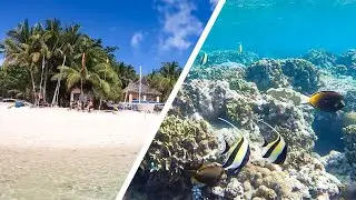 Snorkelling at Siquijor's Tubod Marine Sanctuary