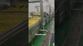 Corn processing machine #seafoodprocessing #machine #fishprocessing #seafood #food #foodmachine