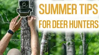 5 SUMMER TIPS FOR DEER HUNTERS