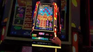 happy blossoms $4.50 bet at firekeepers casino in michigan
