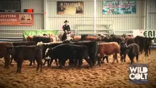 Lacey Elliott winner of 2013 Pink Cutting Elmore Futurity