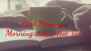 Good morning Tea status, tea lover,
