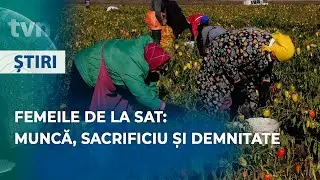 SĂRBĂTOARE ÎNTRE BRAZDE ȘI DOR