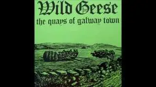 TONY SMALL and WILD GEESE: 'The Quays of Galway Town'