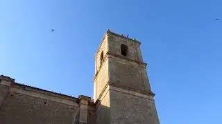 PALOMARES DEL CAMPO CUENCA, IGLESIA DE NUESTRA SEÑORA DE LA ASUNCION.