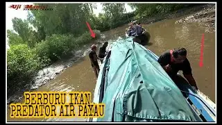 Mancing Ikan Nakal Sang Predator Air Payau, kakap pengganggu petani || Uji Mamisi