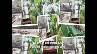 11 Januari 2026