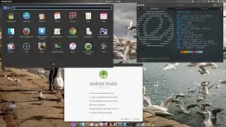 How to install Android Studio On Elementary OS Juno / Ubuntu Based Distros with just a command line