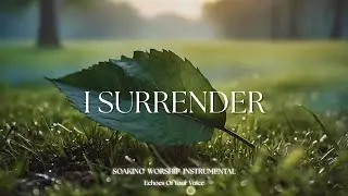 I SURRENDER ALL | Soaking Worship Instrumental - Prayer and Devotional