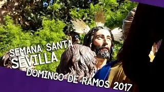 Semana Santa Sevilla 2017 - DOMINGO DE RAMOS (Recopilación - Momentos Cofrades)