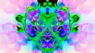 The Universal Heart (AI Not Included) Feat. Diamond Hands by The Polish Ambassador and Deva Carolina