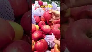 Apple (Company) Name Origin