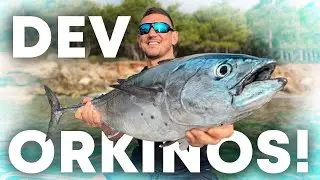 Balık Günlükleri ile Orkinos Avı I 10 Kg Orkinos