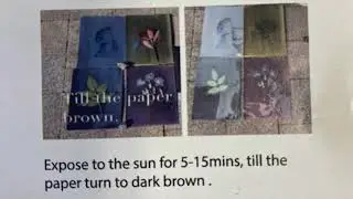 Sunprints