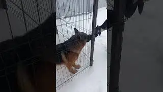 Март 017