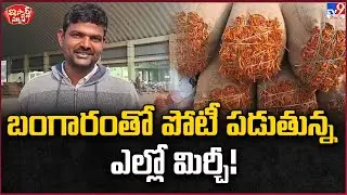 iSmart News : బంగారంతో పోటీ పడుతున్న ఎల్లో మిర్చీ! | Yellow Mirchi - TV9