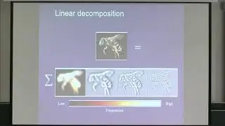 VMVW01 | Prof. Guy Gilboa | Nonlinear spectral analysis - beyond the convex case