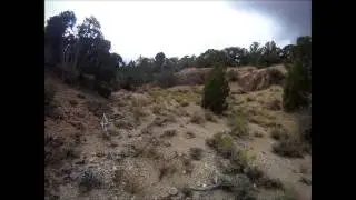 Gold Prospecting Osceola NV