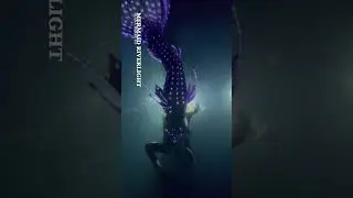 LED Silicone Mermaid Tail - This is what dreams are made of