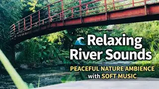 Relaxing River Sounds 🌊 Peaceful Nature Ambience with Soft Music