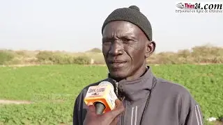 Dur réquisitoire contre la gestion du Maire de Notto Gouye Diama