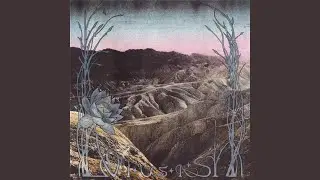 Sometimes Comes the Wolf