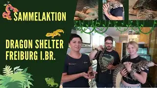 Sammelaktion - Dragon Shelter Freiburg i.Br.