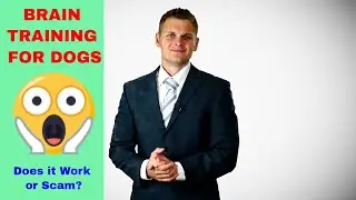 Increase your dog's self control, listening and learning skills - Best brain training for dogs