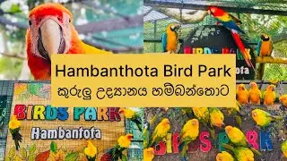 Hambantota Bird Park Experience 🌿🦜 | පක්ෂීන්ගේ ලෝකය