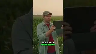 Precision Farming: Stop Insect Attacks With Smart Tech!